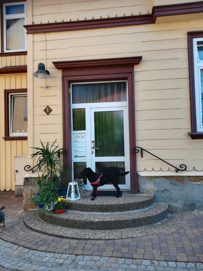 Ferienwohnung Zur Alten Post Bad Grund Exteriér fotografie